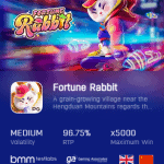 Fortune Rabbit