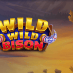 Wild Wild Bison