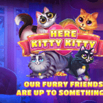 Here Kitty Kitty