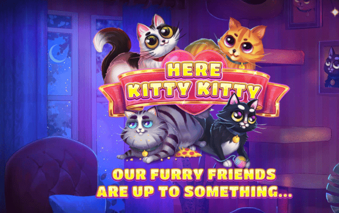 Here Kitty Kitty