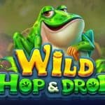 Wild Hop and Drop