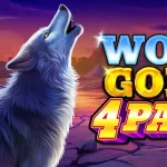Wolf Gold 4 Pack
